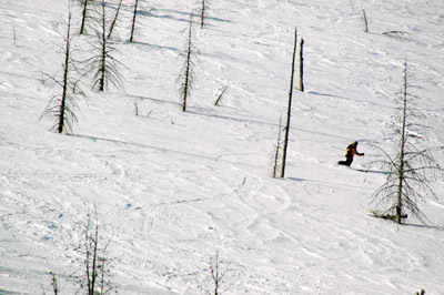 Lone skier at Lookout Pass